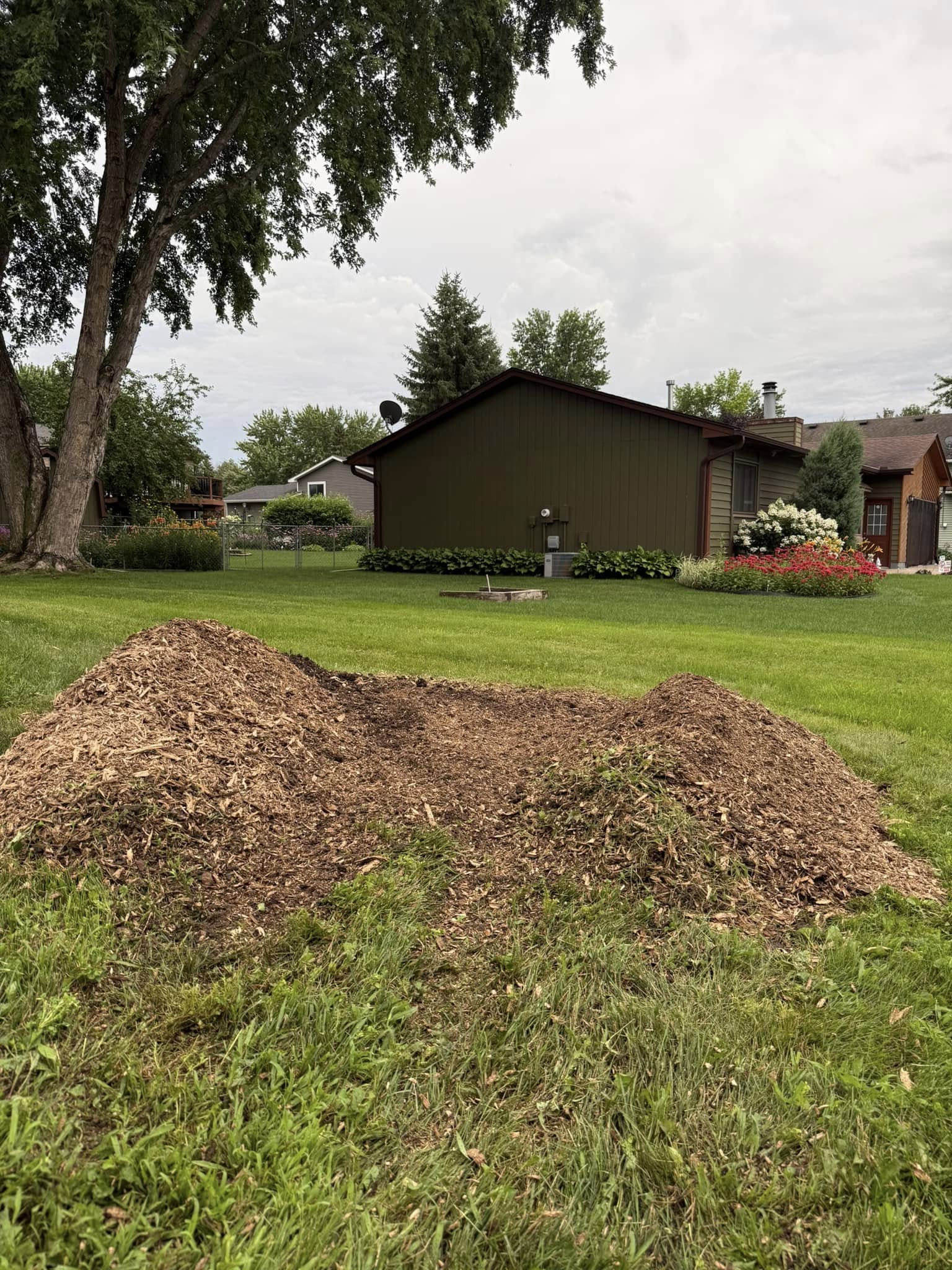 After stump grinding — stump removed, area filled with black dirt, ready for grass