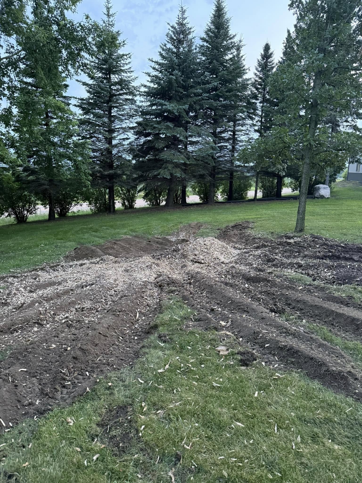 After stump grinding — stump and roots fully ground below grade, yard restored