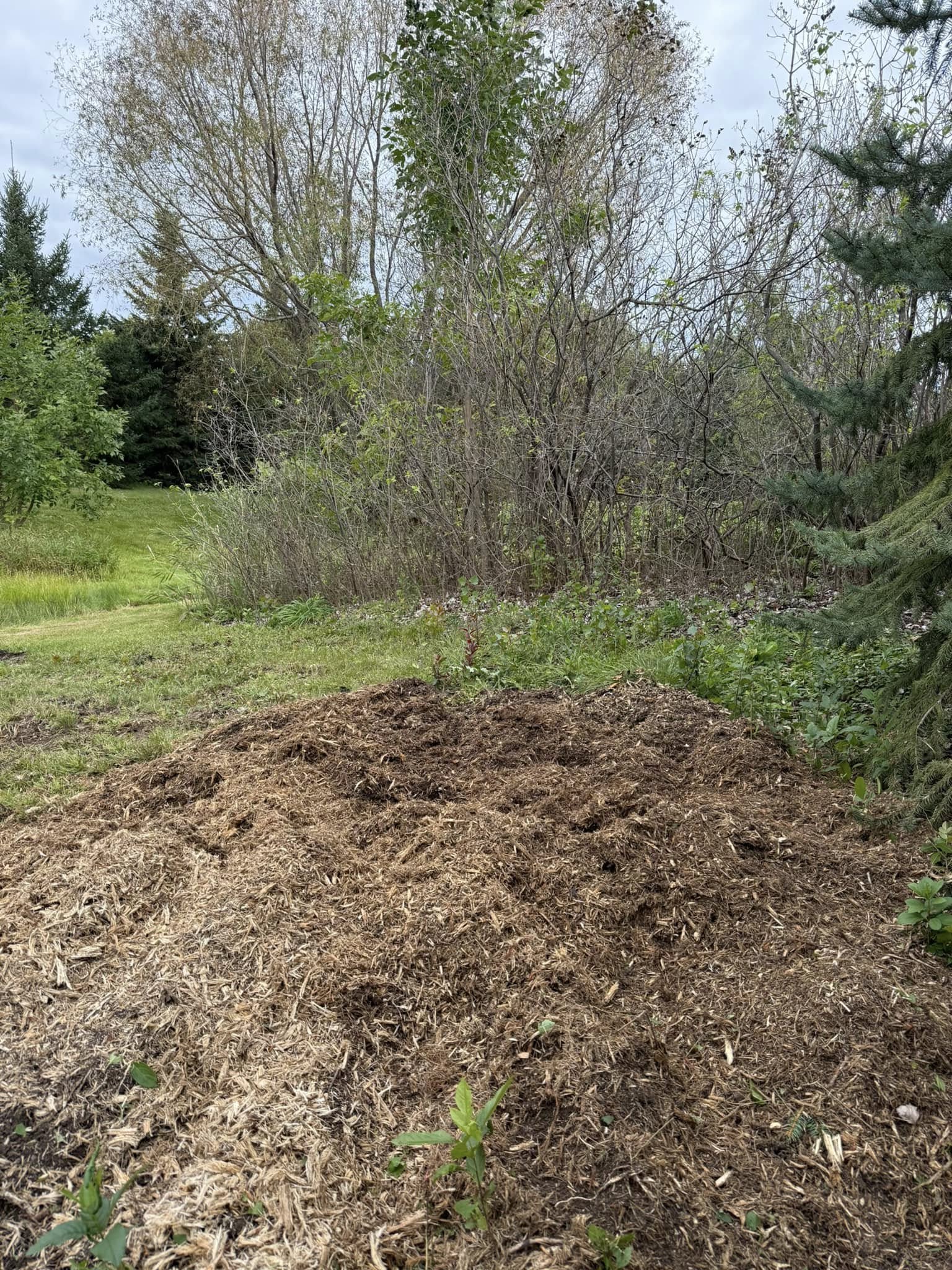 After stump removal — clean flat lawn restored where stump used to be