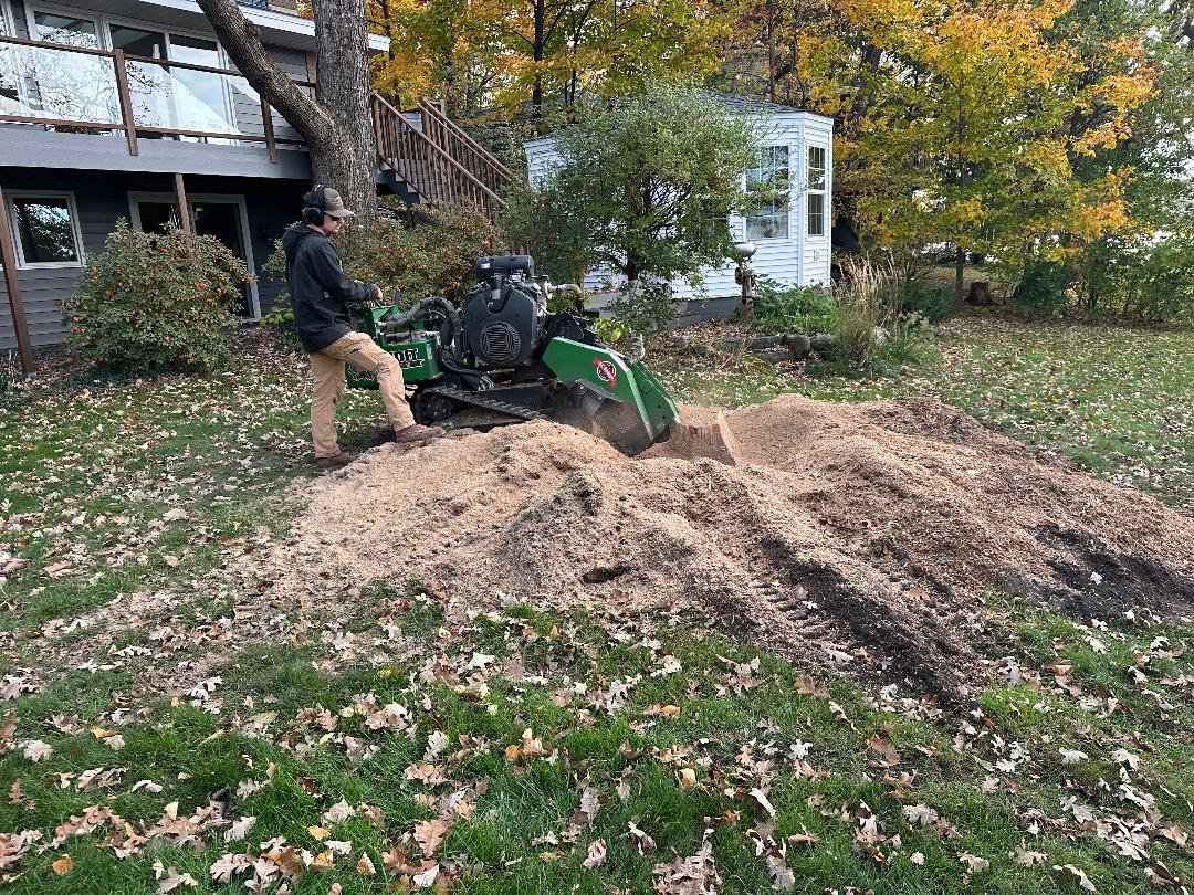 Operator grinding large stump