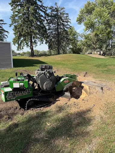 Stump grinding in progress