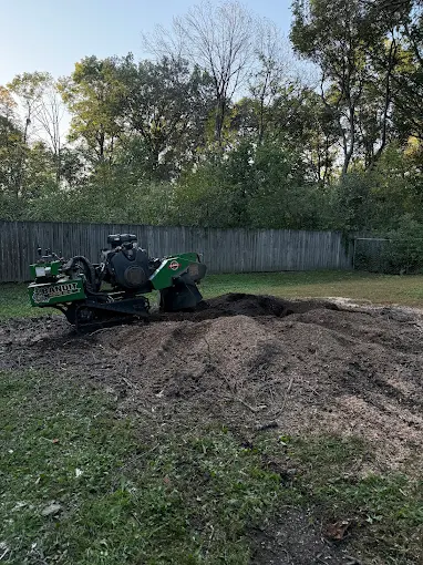 Stump removed, area cleared